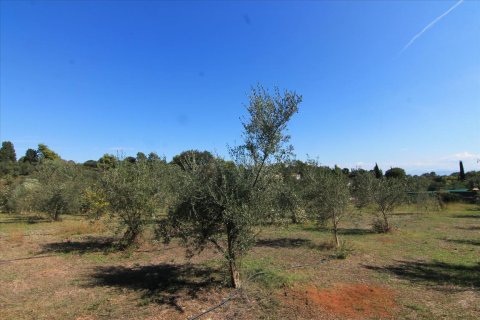 27750m² Land in Corfu, Greece No. 57842 27