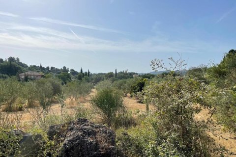 27750m² Land in Corfu, Greece No. 57842 11