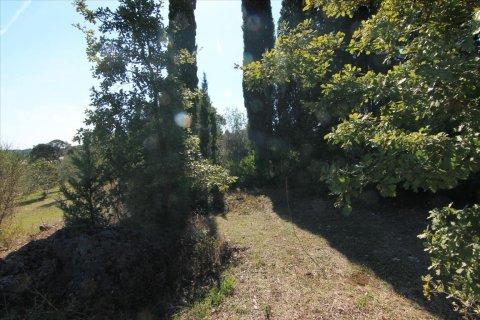 27750m² Land in Corfu, Greece No. 57842 24