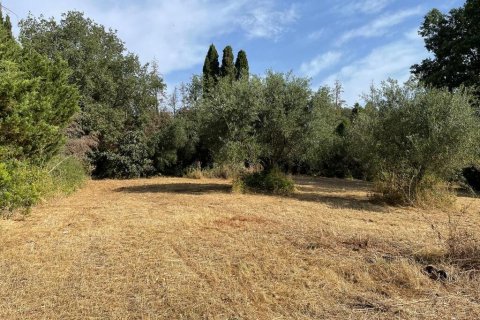 27750m² Land en Corfu, Greece No. 57842 13