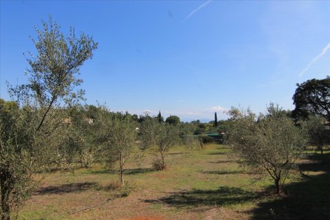 27750m² Land en Corfu, Greece No. 57842 26