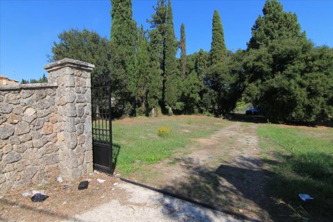 27750m² Land in Corfu, Greece No. 57842 4