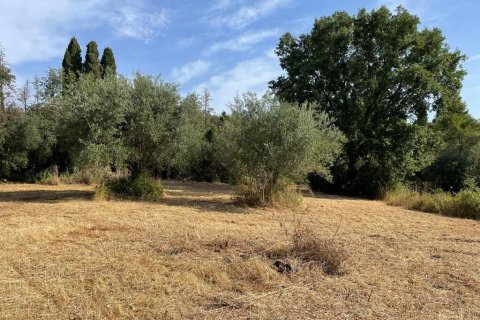 27750m² Land à Corfu, Greece No. 57842 12