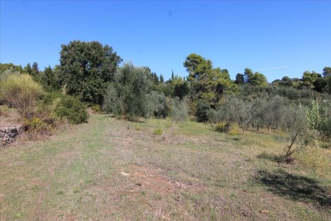 27750m² Land in Corfu, Greece No. 57842 14