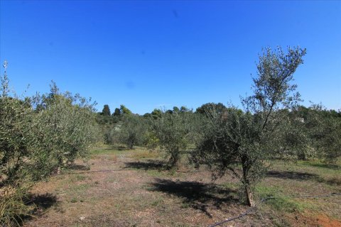 27750m² Land à Corfu, Greece No. 57842 28