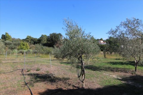 27750m² Land en Corfu, Greece No. 57842 17