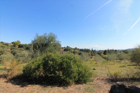 27750m² Land in Corfu, Greece No. 57842 22