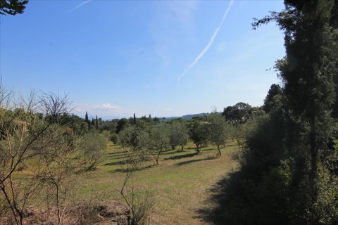 27750m² Land en Corfu, Greece No. 57842 20