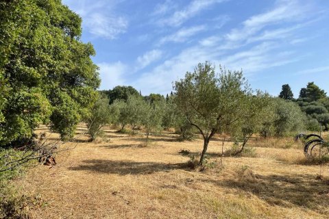 27750m² Land in Corfu, Greece No. 57842 3