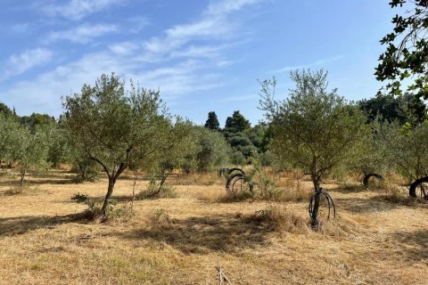 27750m² Land in Corfu, Greece No. 57842 8