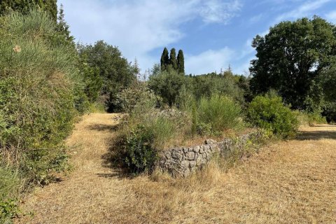 27750m² Land in Corfu, Greece No. 57842 9