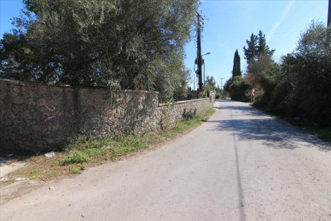 27750m² Land in Corfu, Greece No. 57842 30