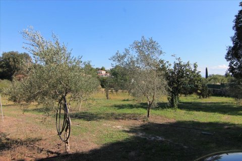 27750m² Land en Corfu, Greece No. 57842 18