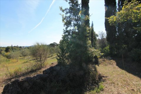 27750m² Land in Corfu, Greece No. 57842 25