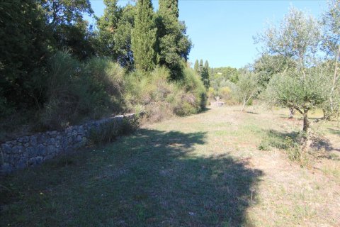 27750m² Land in Corfu, Greece No. 57842 19