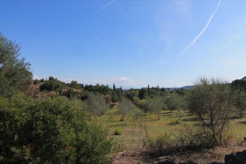 27750m² Land à Corfu, Greece No. 57842 21