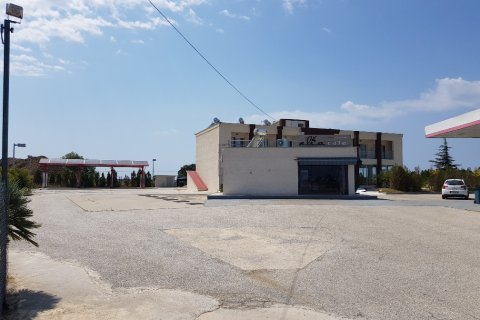 576m² Business in Chalkidiki, Greece No. 57924 12