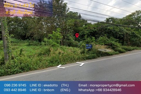 20 dormitorios Land en Chiang Mai, Thailand No. 2202 1