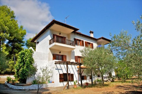 240m² Hotel à Chalkidiki, Greece No. 58604 5