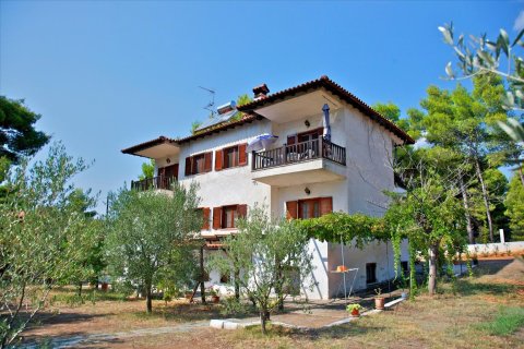 240m² Hotel à Chalkidiki, Greece No. 58604 6