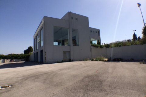 996m² Business in Paiania, Greece No. 58605 17