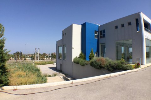 996m² Business in Paiania, Greece No. 58605 7