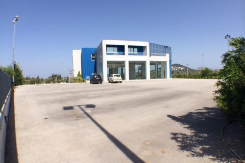 996m² Business in Paiania, Greece No. 58605 5