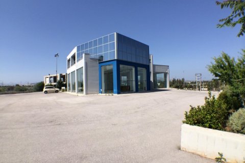 996m² Business in Paiania, Greece No. 58605 9