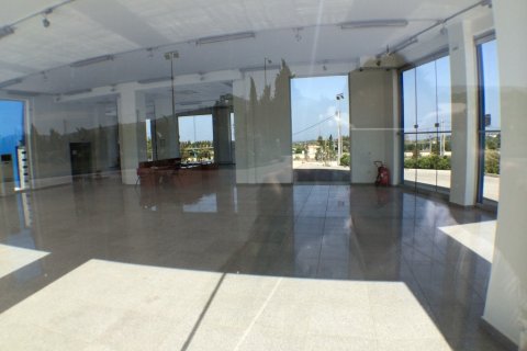 996m² Business in Paiania, Greece No. 58605 14