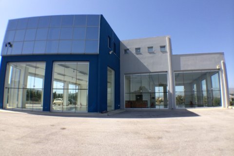 996m² Business in Paiania, Greece No. 58605 13