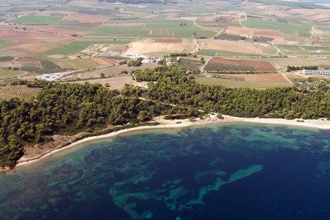 30000m² Land en Chalkidiki, Greece No. 58799 1