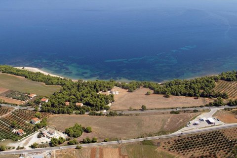 30000m² Land in Chalkidiki, Greece No. 58799 2