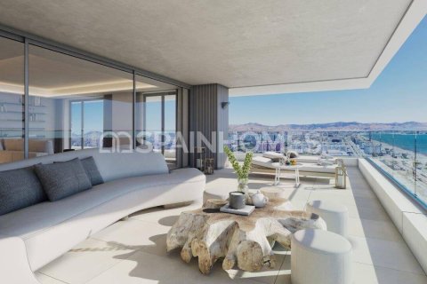 4 bedrooms Penthouse in Malaga, Spain No. 26667 14