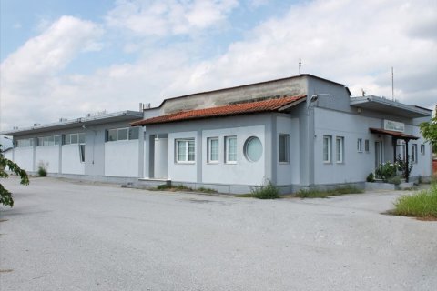 720m² Commercial property à Pieria, Greece No. 49496 1