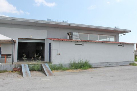 720m² Commercial property in Pieria, Greece No. 49496 10