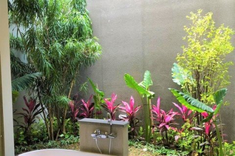 3 bedrooms Villa in Canggu, Indonesia No. 23075 11