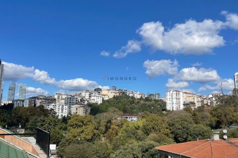 3+1 Apartment in Besiktas, Turkey No. 16856 14