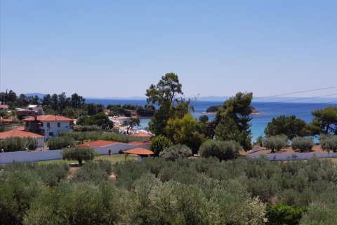 6 bedrooms Maisonette in Chalkidiki, Greece No. 57123 26