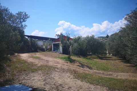 3 dormitorios House en Chalkidiki, Greece No. 57128 5