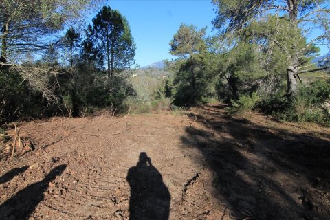 11017m² Land en Corfu, Greece No. 58246 1