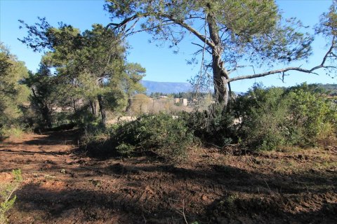 11017m² Land in Corfu, Greece No. 58246 3