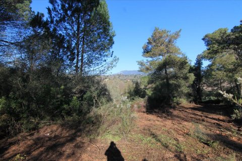 11017m² Land in Corfu, Greece No. 58246 2