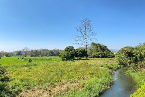 4 dormitorios House en Chiang Mai, Thailand No. 1558 2