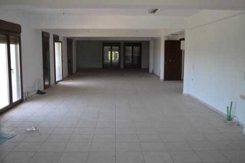 640m² Commercial property à Chalkidiki, Greece No. 50274 8