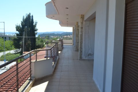 640m² Commercial property en Chalkidiki, Greece No. 50274 9