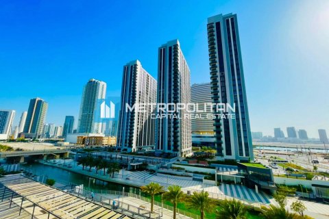 3 bedrooms Apartment in Al Reem Island, UAE No. 66300 13