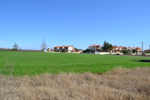 6700m² Land à Chalkidiki, Greece No. 58300 3