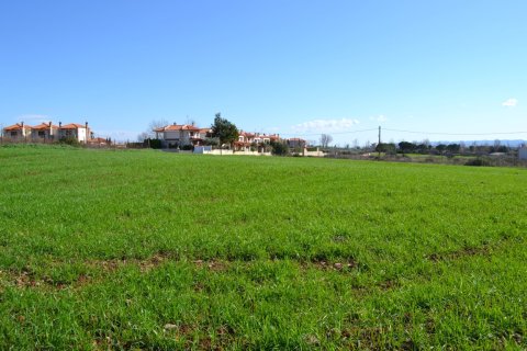 6700m² Land in Chalkidiki, Greece No. 58300 4