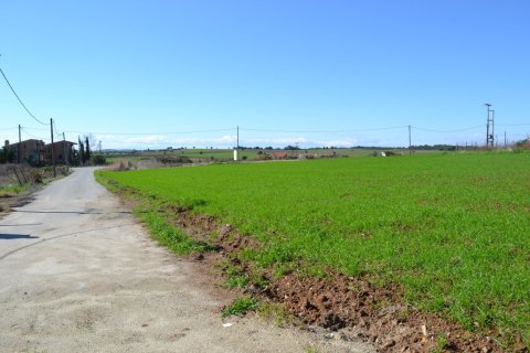 6700m² Land à Chalkidiki, Greece No. 58300 5