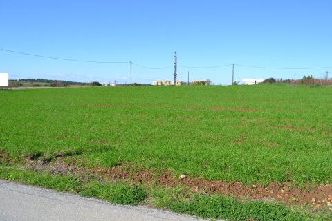 6700m² Land in Chalkidiki, Greece No. 58300 1